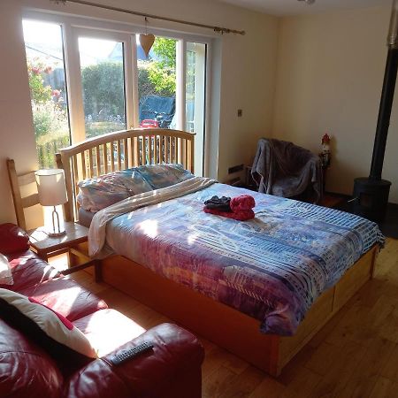 No 9 Manor Way Apartment Кармартън Екстериор снимка