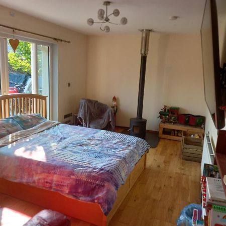 No 9 Manor Way Apartment Кармартън Екстериор снимка