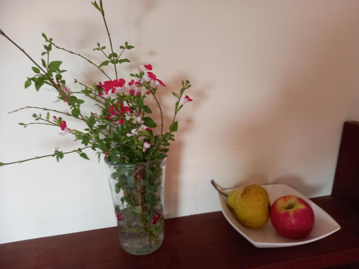 No 9 Manor Way Apartment Кармартън Екстериор снимка